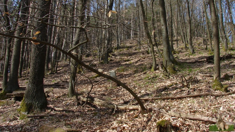 Ritterstein Nr. 297-5a Loogfels - Waechterstein mit Handgemal 12. Jhrdt. 300 m.JPG - Ritterstein Nr.297 Loogfels - Waechterstein mit Handgemal 12. Jhrdt. 300 m